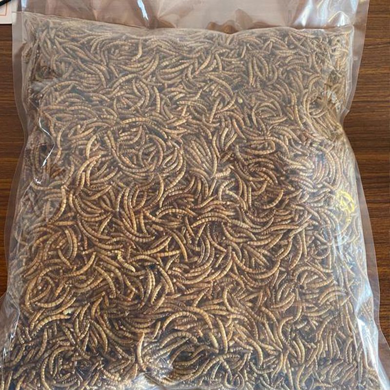 Organic Dried Mealworms